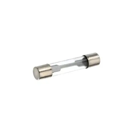 Glass Fuse 10 AMP