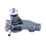 Water Pump Ford Econoline E-100,E-150, E-250, E-350,  F-100,F-150, F-250, F-350 Pickup, Bronco '76-'82 6-Cyl 300 Carter