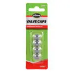 Slime Tire Valve Caps Gray 20339