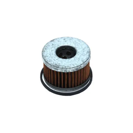 Fuel Filter Lister Petter, 543