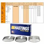 Rings Set Renault 12, 73mm, 2C-6870 Hastings -+.010"/0.25mm