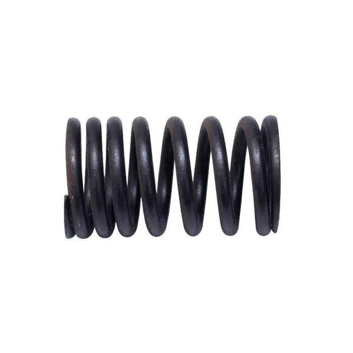 X Value Spring Valve Spring Bedford 300 Gas – ZMMA