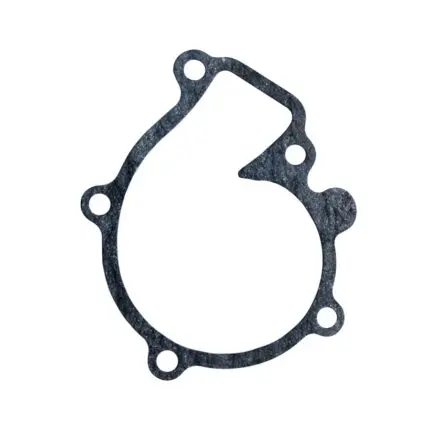 Intake Manifold Gasket Nissan Tiida, Versa, Bluebird, Sylphy HR16 Eng., N-0C0-064