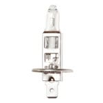 Bulb Ring 12V H1  R481   100W