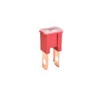 MAIN FUSE MALE STRAIGHT 50AM