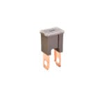 MAIN FUSE MALE STRAIGHT 70AM
