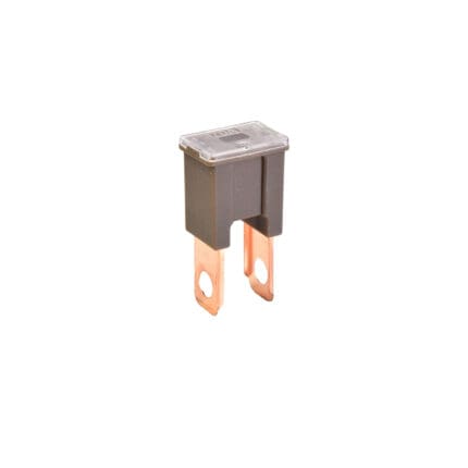 MAIN FUSE MALE STRAIGHT 70AM