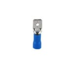 Terminal Blue Male 1Pc