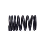 Valve Spring Bedford 300 Gas