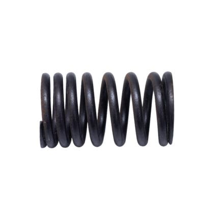 Valve Spring Bedford 300 Gas