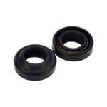 Seal Water Pump