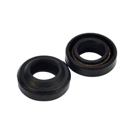 Seal Water Pump